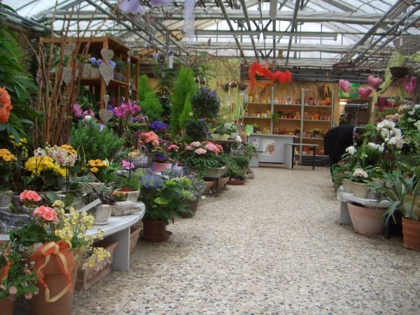 Galeriebild