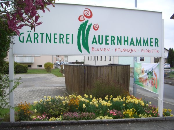 Galeriebild